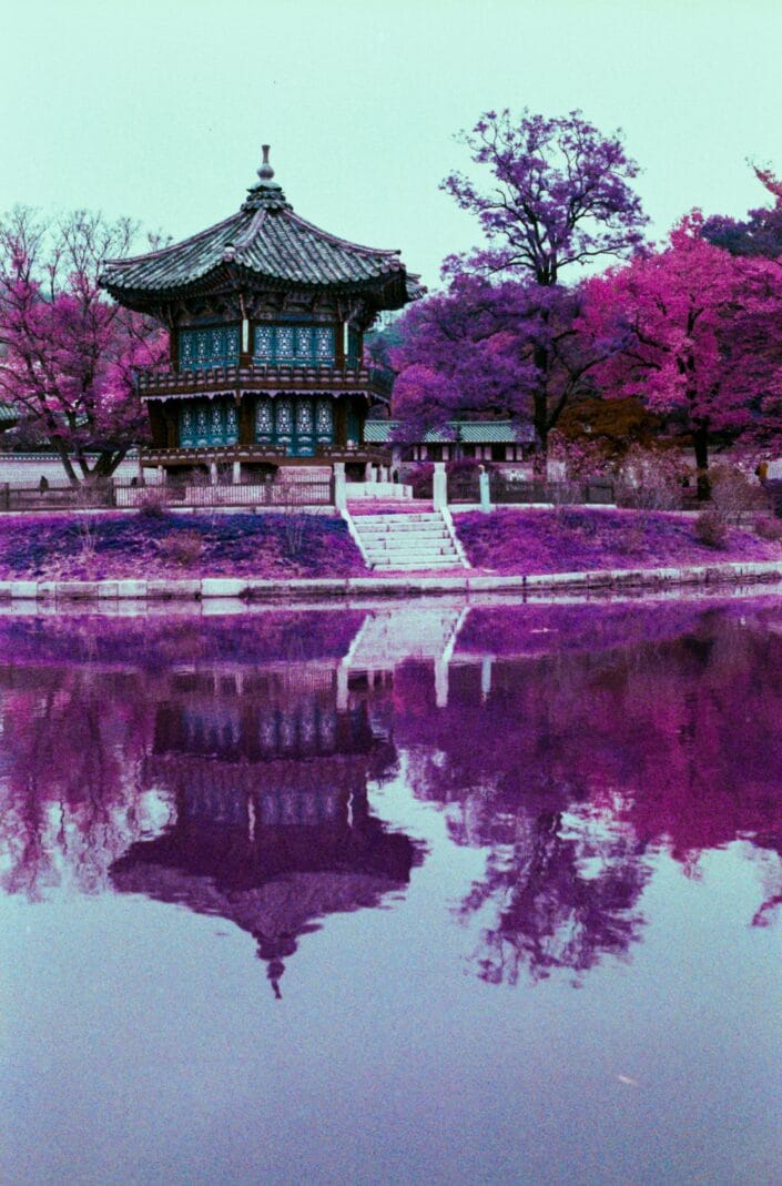 Lomography Purple Photo Corée Du Sud
