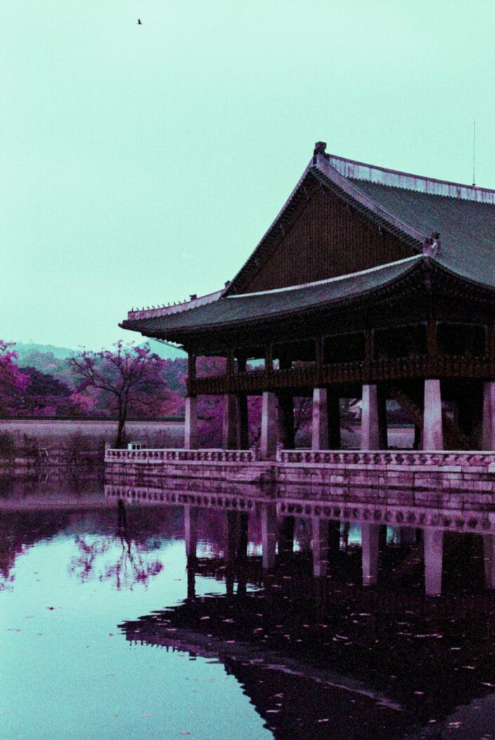 Lomography Purple Photo Corée Du Sud