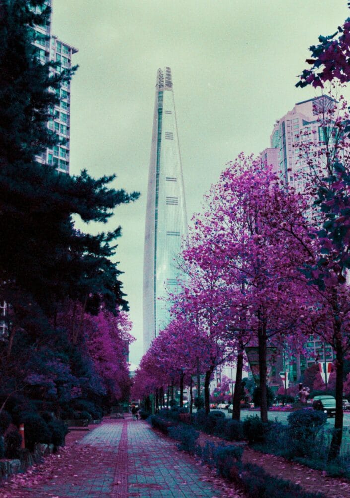 Lomography Purple Photo Corée Du Sud