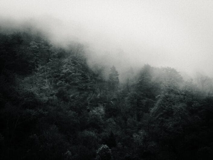 Photo Corse Noir et Blanc Vizzavona